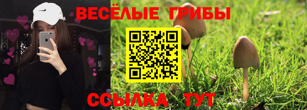 Галлюциногенные грибы ЛСД  Вход с VPN  Обь 